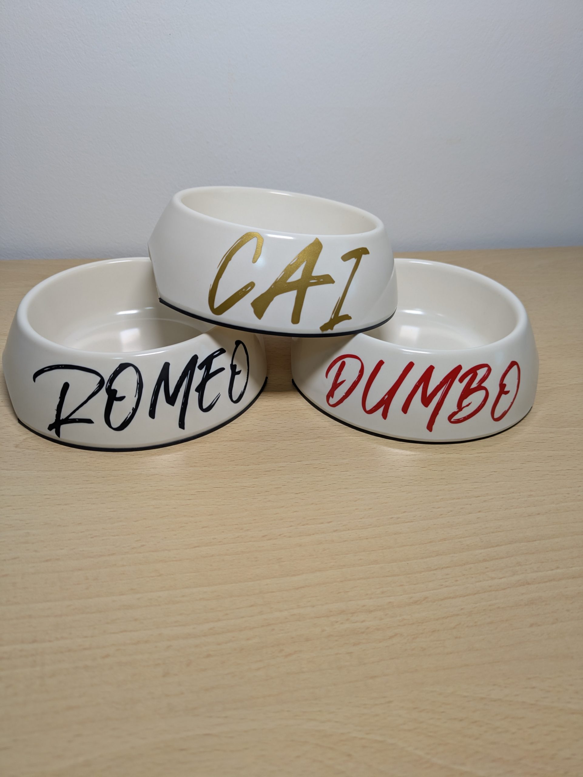 Comederos de Perro Personalizables | Con Nombre y Diseños Únicos